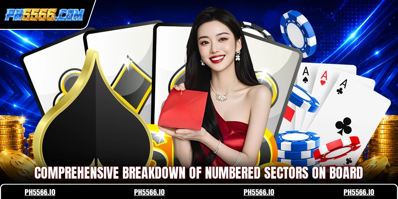 Comprehensive breakdown of numbered sectors on board