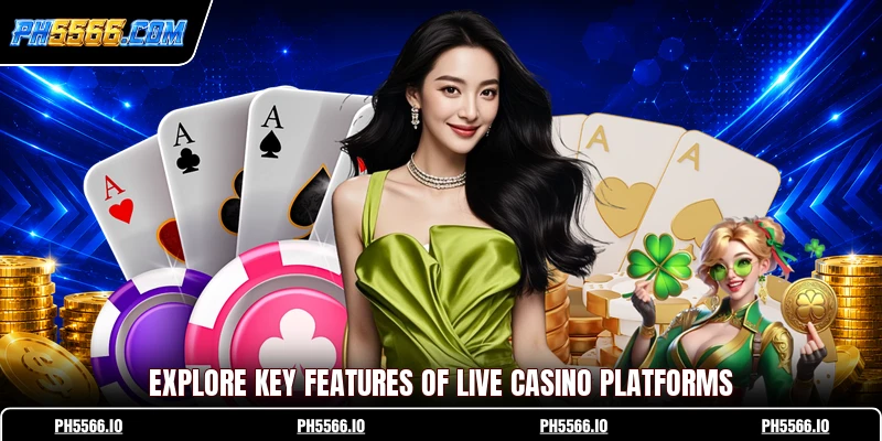 Explore key features of live casino platforms