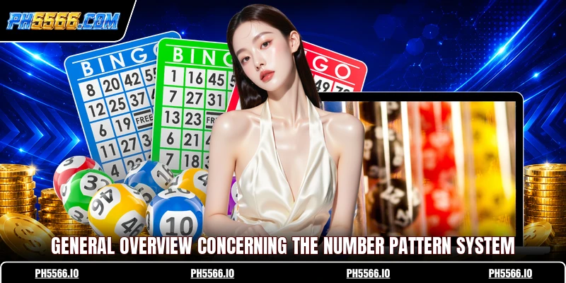 General overview concerning the Number Pattern System